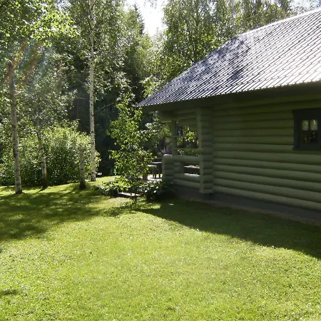 Hopeavirran Helmi Ikaalinen