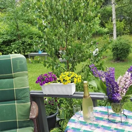 Chalet Hopeavirran Helmi Ikaalinen